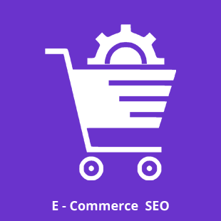 E - Commerce SEO