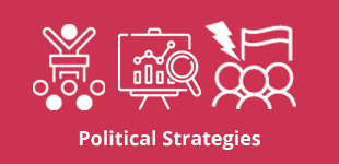 Political Strategies